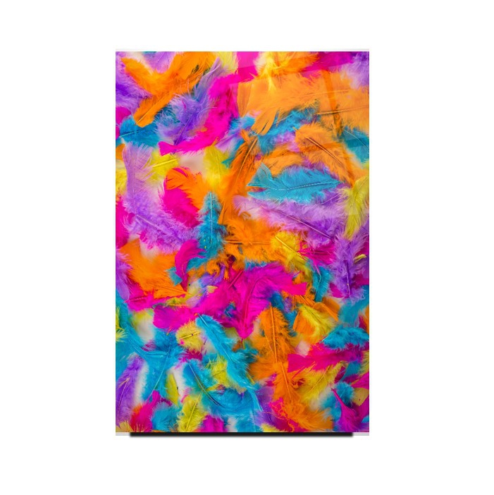 Renkli Tüyler Cam Tablo