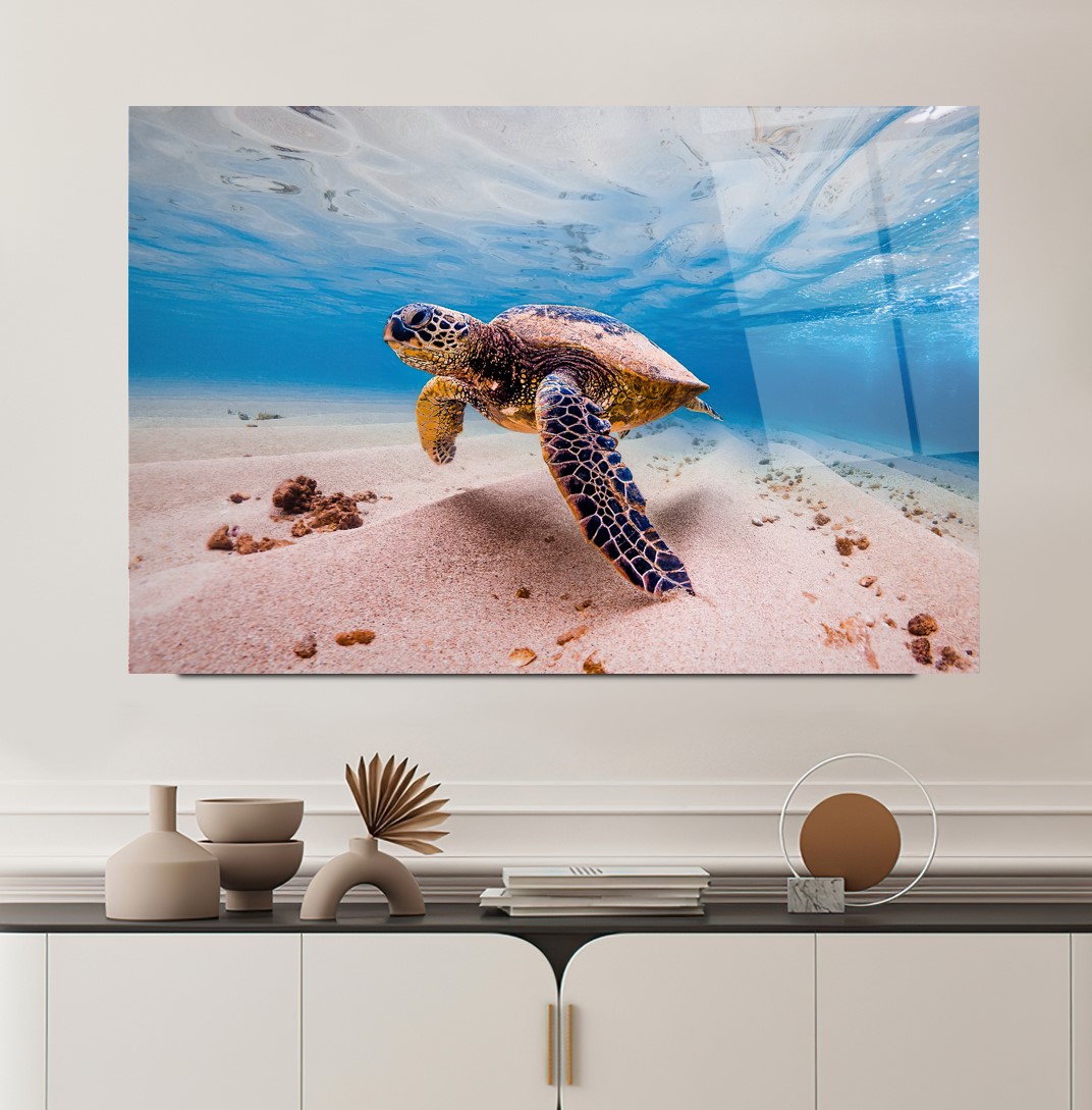 Deniz Kaplumbağası Cam Tablo