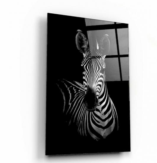 Zebra Cam Tablo