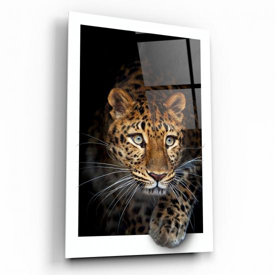 Leopar Cam Tablo