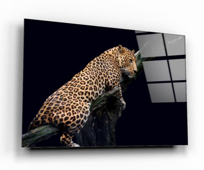 Leopar Cam Tablo