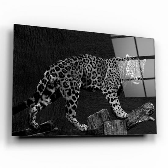 Leopar Cam Tablo