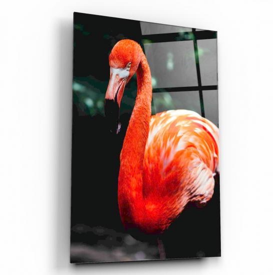 Flamingo Cam Tablo